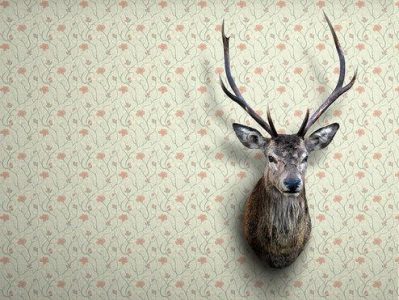 The Deer Chronicles Image